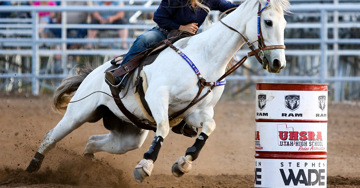 Equimins Izulet Kiemelt