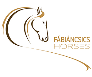 Fabiancsicshorses 300X250