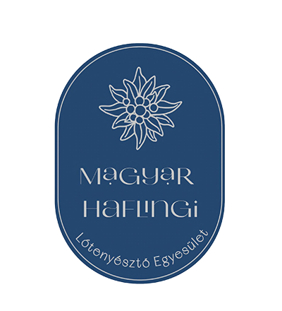 Hafiegyesuletlogo png