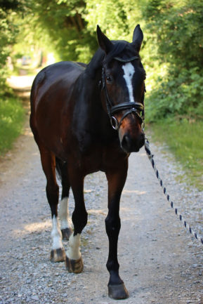 Its Me du Messil a Hogwart 