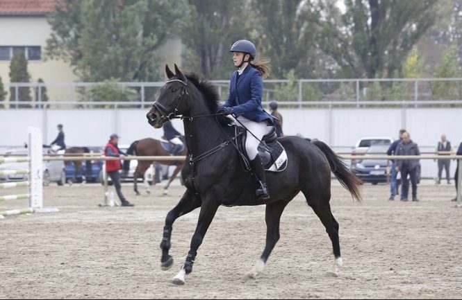 My Colt Metál