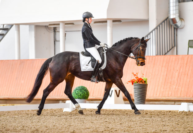 Furioso XLV-88 Jégvihar