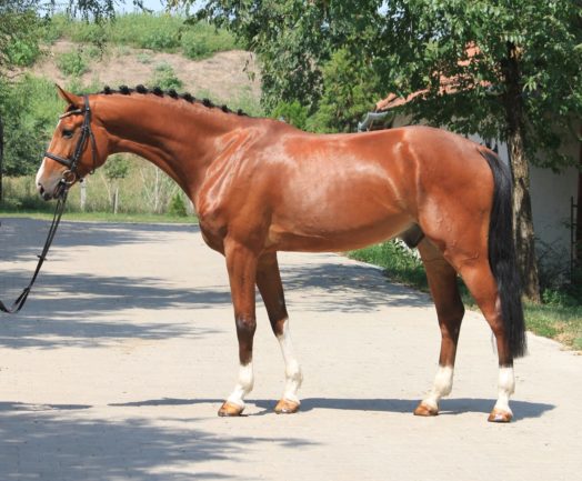 Cullinan’s  Gabalier Kes