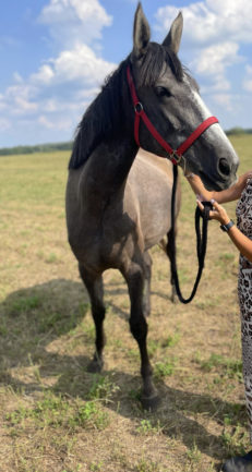 Derűs