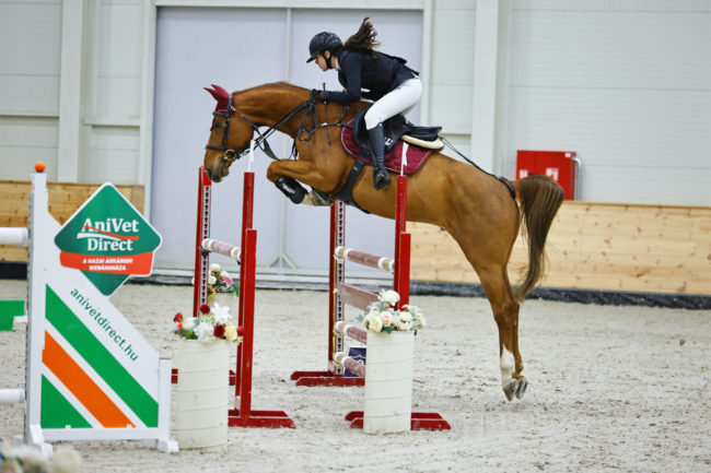 Runball Van Het Heidehof