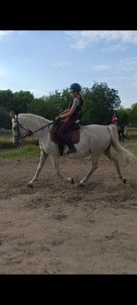 Favory Tahira 