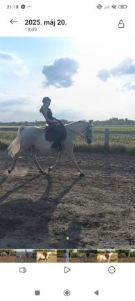 Favory Tahira 