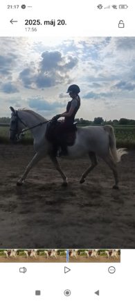 Favory Tahira 