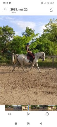 Favory Tahira 