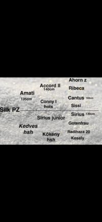 Silk