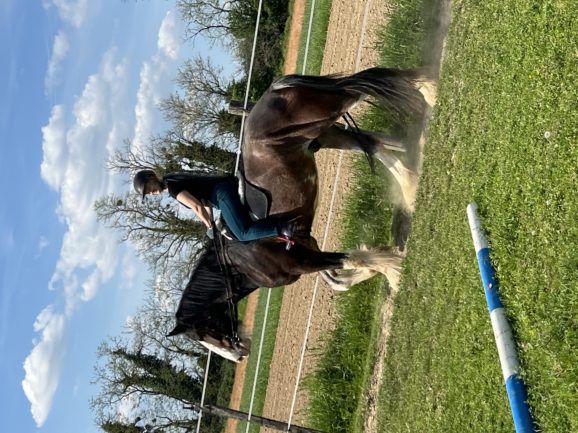 Maximus