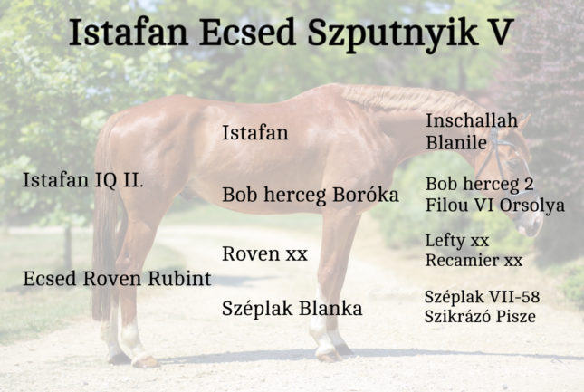 Istafan Ecsed Szputnyik V