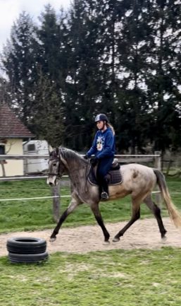 Betyár