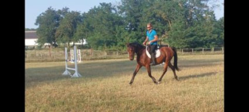 Furioso-13 Hegyes