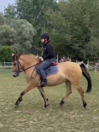 Pippa