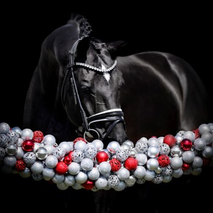 Tailormade Attention