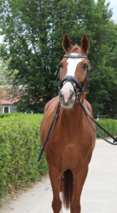Athos Figura