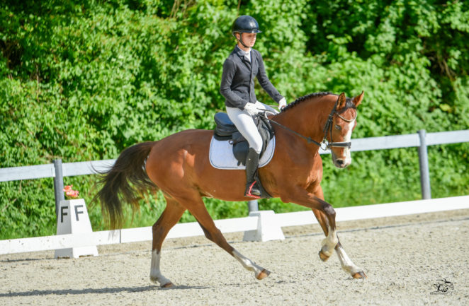 Bz Champagne De Luxe