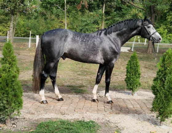 Ramiro