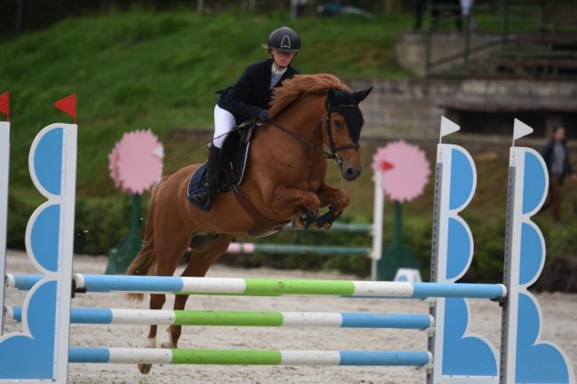 Poni