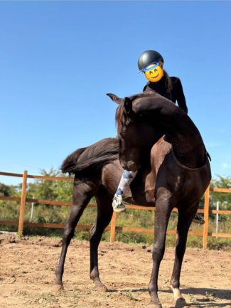 Páholy Paktum S