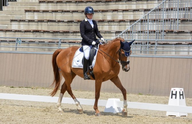 Gidran Razbeg-45 (Sirokkó)