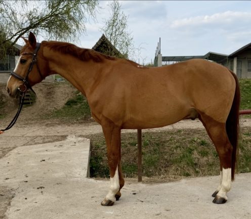 Gidran Razbeg-45 (Sirokkó)