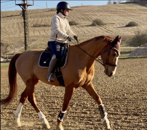 Gidran Razbeg-45 (Sirokkó)