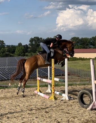 Gidran Razbeg-45 (Sirokkó)