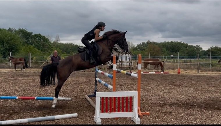 Black-Dream (e. Csillag)