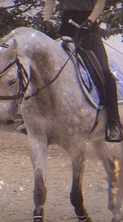 Koh-i-Noor”Csoda”