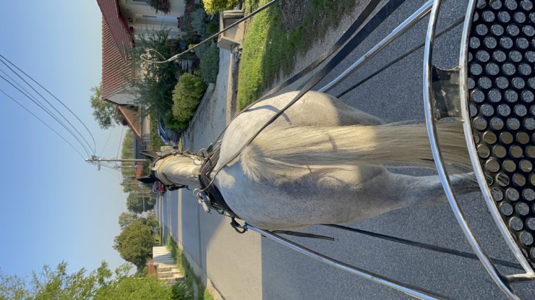 Koh-i-Noor”Csoda”