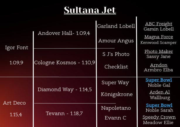 Sultana Jet