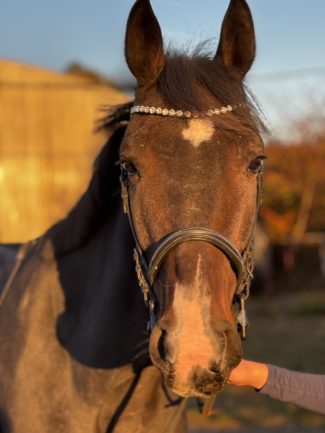 CICLONE SAN ( Berci )