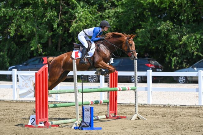 "Charity Princess" of Liz