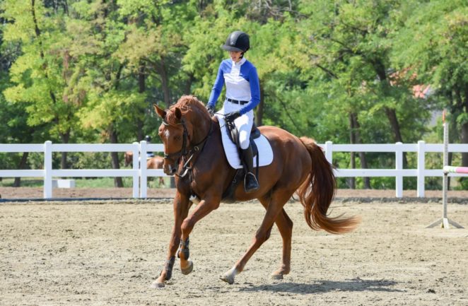 "Charity Princess" of Liz