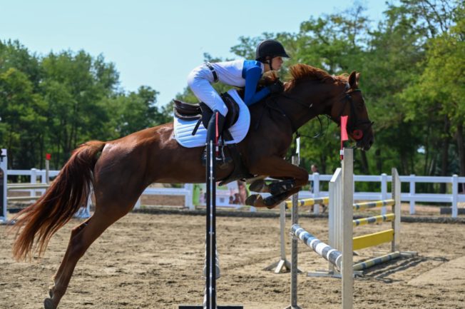 "Charity Princess" of Liz