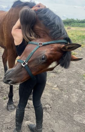Dakota        