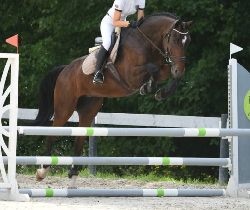 Bellissima (vemhes - mén: Kahuna)