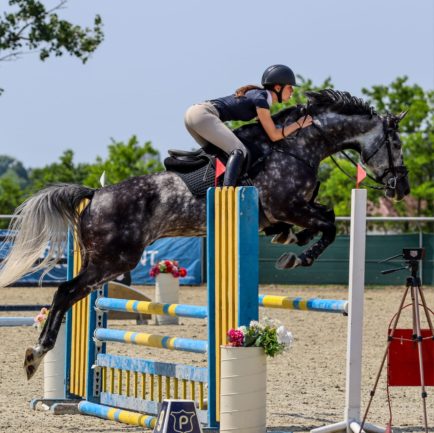 Thorgan van het landauke