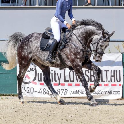 Thorgan van het landauke