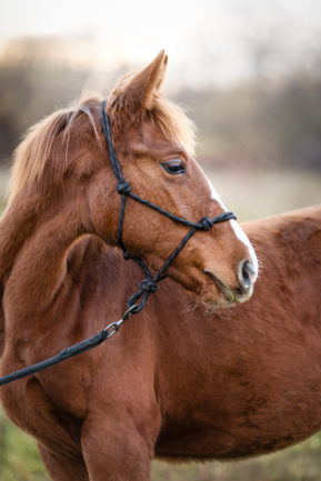 Szikrázó Afrodité