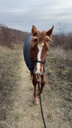 Szikrázó Afrodité