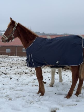 Szikrázó Afrodité