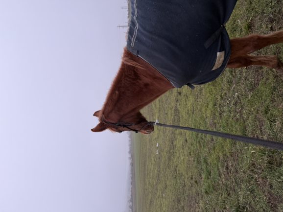 Szikrázó Afrodité