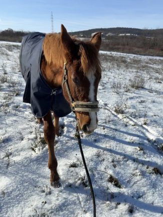 Szikrázó Afrodité