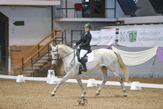 P-Saripuszta Libretto