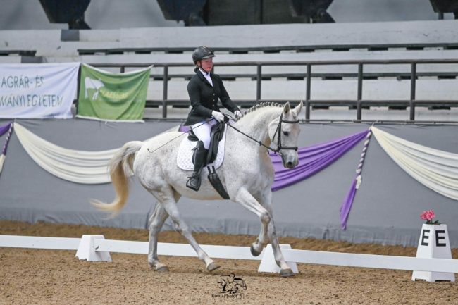 P-Saripuszta Libretto