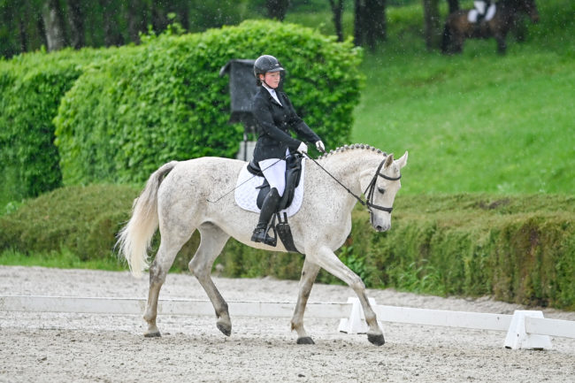 P-Saripuszta Libretto