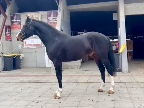 Jericho Miles Morales